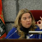 Un momento del Pleno ordinario de noviembre, en el Ayuntamiento de Burgos.