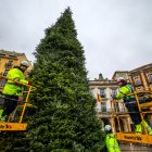 Colocación del Árbol de Navidad en la Plaza Mayor.
