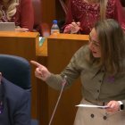 La consejera de Agricultura y Ganadería, María González Corral, durante el Pleno de las Cortes.