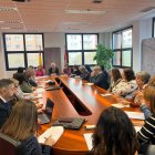 Imagen de la reunión de la Comisión Territorial contra la Violencia de Género.