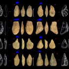 Herramientas líticas recuperadas en el yacimiento Terra Amata