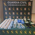 Detenidas dos personas dedicadas al tráfico de cocaína y mdma en la provincia de León.