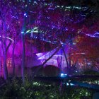 inauguración de la iluminación navideña del Huerto de Calixto y Melibea.