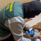 Operación Cygansky de la Guardia Civil contra una red internacional de ciberestafas.