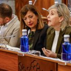 Un momento del Pleno ordinario de enero en el Ayuntamiento de Burgos.