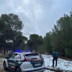 Guardia Civil en el pinar donde se sutrajeron los pinos en Hornillos (Valladolid).