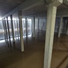 Imagen facilitada por el MITECO.