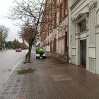 Un operario de Jardines retira los restos del árbol derribado en el accidente.