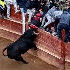 Herido grave por asta de toro durante la capea celebrada en la tarde de este sábado en el marco del Carnaval del Toro, en Ciudad Rodrigo (Salamanca).