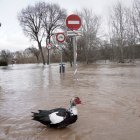 Inundaciones en Tudela de Duero por la subida de nivel del Río Duero.