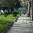 Estado de la acera del parque Buenavista, que el PSOE tilda de "lamentable".