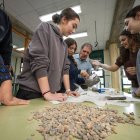 Un grupo de alumnas preparan su mezcla de hormigón con cemento, grava, arena y agua para crear el testigo de hormigón más resistente.