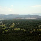 Archivo - Monte de Valonsadero (Soria).