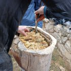 Un hombre trabaja con un panal en un árbol.