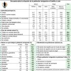 Encuesta sobre la situación de la población inmigrante en Castilla y León (15cmx16cm).