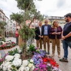 La alcaldesa, Cristina Ayala, recorrió la decoración floral que va a tener la Plaza Mayor, un jardín portugués.