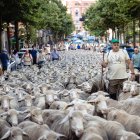 Paso de la Trashumancia por la capital soriana.