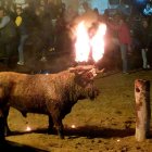 Archivo - Imagen de archivo del Toro Jubilo.