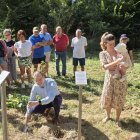 Imagen de la plantación de Árboles