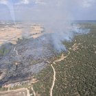 El incendio ha asolado 83 hectáreas de monte