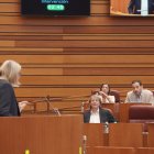 Segunda jornada del pleno de las Cortes de Castilla y León.