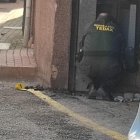 Un efectivo de los Tedax, examinando el coctel molotov localizado en Pradoluengo.
