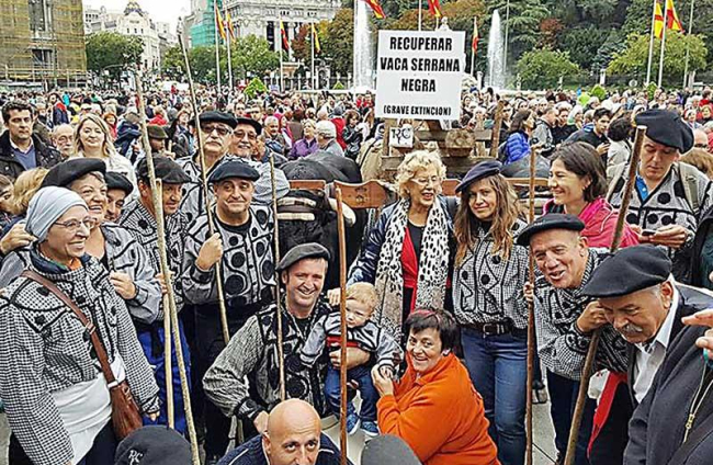 Carreteros de Quintanar de la Sierra junto a la alcaldesa de Madrid, Manuela Carmena, en la Fiesta de la Trashumancia.