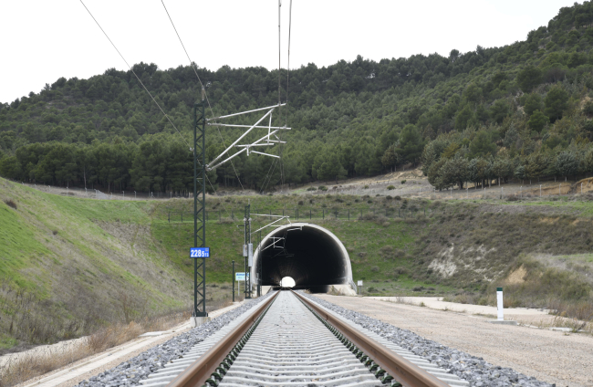 La línea, que incluye la variante ferroviaria de Burgos, incorpora doce viaductos, con una longitud total de 4,6 km, así como dos túneles, que suman 1,3 km, destacando el de El Almendro, con más de 800 m.