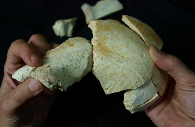 Las piezas de fósiles están muy fragmentadas convirtiendo los hallazgos en un puzle inmenso. Miguelón apareció trozo a trozo. JAVIER TRUEBA (MSF)
