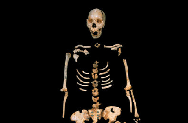 El equipo ha extraído un tercio de toda la colección que puede atesorar la Sima de los Huesos. Son esqueletos completos de 30 individuos. JAVIER TRUEBA (MSF)