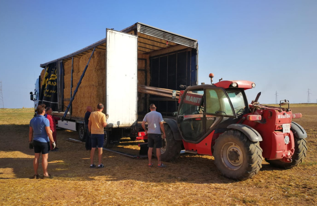 Respuesta solidaria desde Burgos para alimentar al ganado de Ávila