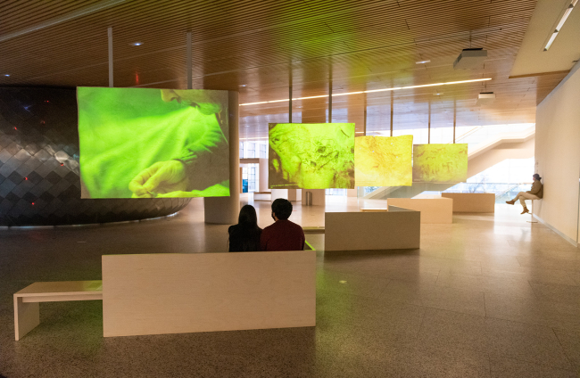 Los elementos interactivos del Museo de la Evolución permiten abordar cuestiones sobre la evolución cultural, biológica y tecnológica del hombre.