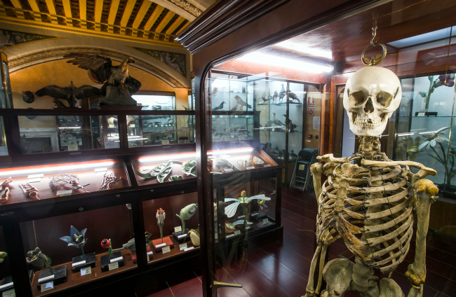 Zona del Museo de Ciencias del López de Mendoza protagonizado por el esqueleto humano que se utilizaba para el estudio de los huesos.