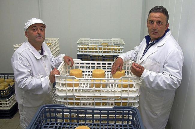 Luis Miguel (d) y Pedro de Vega Posada muestran algunos de los quesos de un kilo que elaboran en la quesería de Tapioles (Zamora).-M.D.