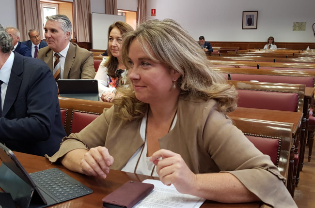 Cristina Ayala, senador del PP por Burgos. ECB
