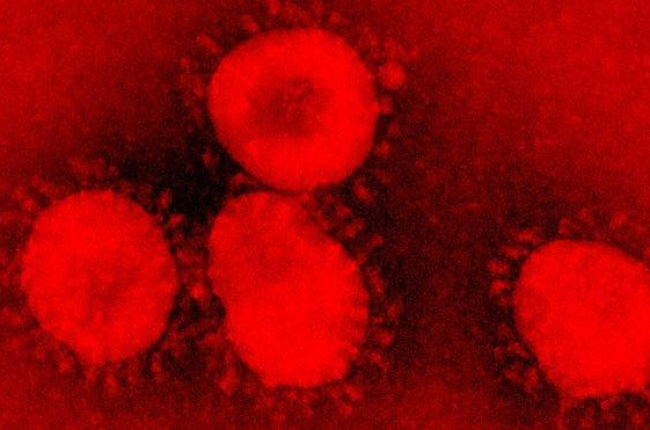 Imagen microscópica de un coronavirus.-ARCHIVO / EPA