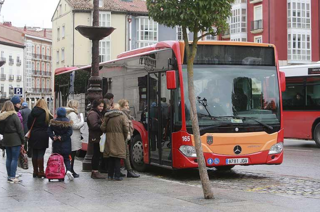 Los cinco nuevos autobuses urbanos se incorporarán a la circulación en el primer semestre del próximo año.