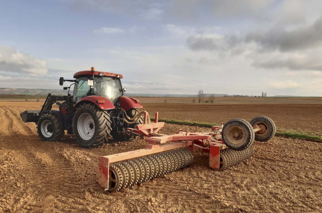 Un agricultor afincado en la provincia de Soria prepara el terreno para cultivar alfalfa. ICAL