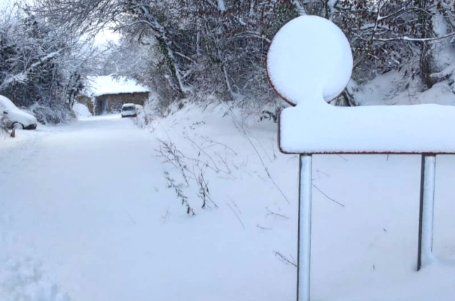 Fuerte nevada en Ailanes de Zamanzas. ECB