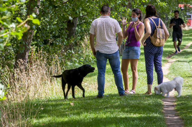 Varias personas pasean a sus perros por la orilla del río en la capital burgalesa. SANTI OTERO