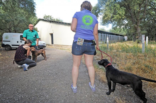 Voluntarios de Proanbur y un operario de Semat pasean a dos perros en el exterior de las instalaciones de la perrera de Villafría.-I. L. MURILLO