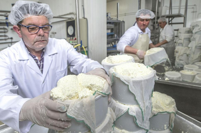 Un operario introduce los quesos cuajados en el molde.-ISRAEL L. MURILLO