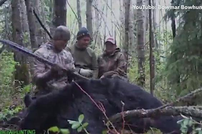 El cazador Josh Bowmar se graba cazando un oso con una jabalina en Alberta, Canadá.-YOUTUBE