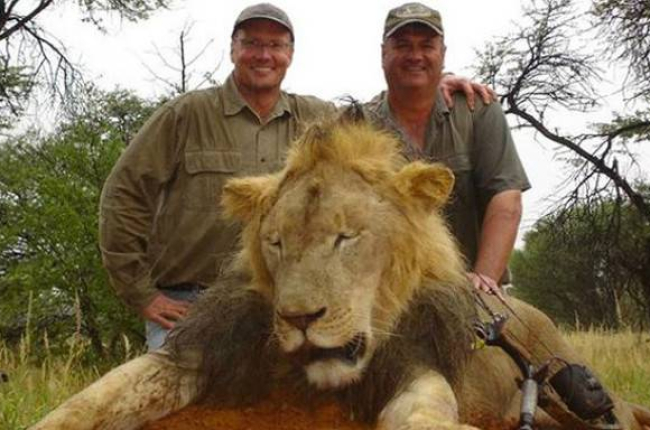 Palmer, a la izquierda de la imagen, junto a otro cazador, y un león abatido años atrás.-Foto: TWITTER