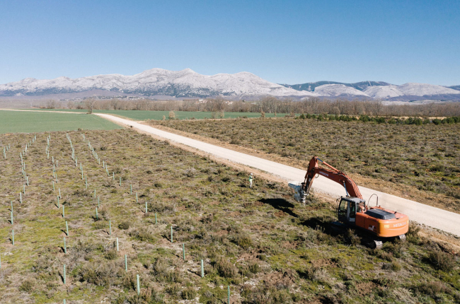 Land Life Company, la compañía tecnológica dedicada a la reforestación forestal a gran escala con sede en Burgos, llevará a cabo esta temporada la repoblación de 15 nuevos bosques.