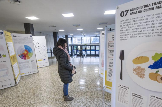La exposición de UBUVerde se podrá visitar en el vestíbulo de la Escuela Politécnica Superior del Campus Río Vena de la Universidad de Burgos hasta el 31 de enero.-ISRAEL L. MURILLO