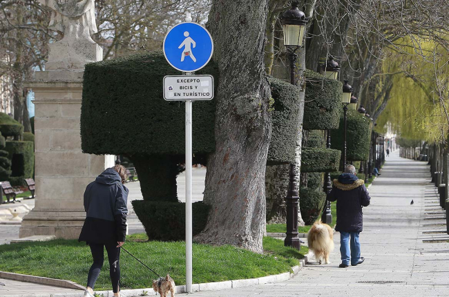 Imagen de dos personas paseando a sus mascotas por el Espolón. RAÚL G. OCHOA