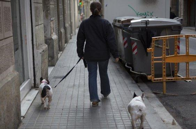 Un hombre pasea a dos perros por la calle.