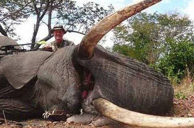 El doctor Jan Casmir Seski, con un elefante, en una imagen colgada en Facebook en septiembre del 2014.-Foto: GRIZZLY STIK FACEBOOK