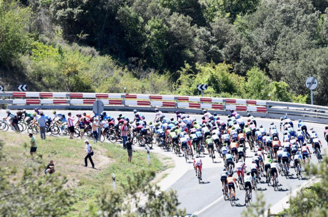 Imagen del pelotón durante una etapa de la Vuelta a Burgos. SANTI OTERO